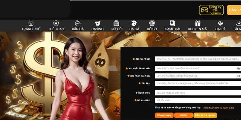 Nhập dữ liệu đăng ký KO66